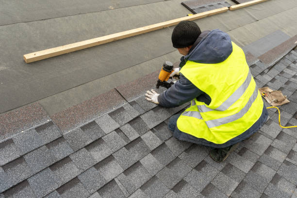 Best Roof Gutter Cleaning  in Twin Lake, MI