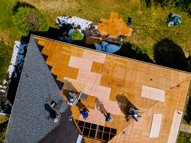 Best Roof Gutter Cleaning  in Twin Lake, MI