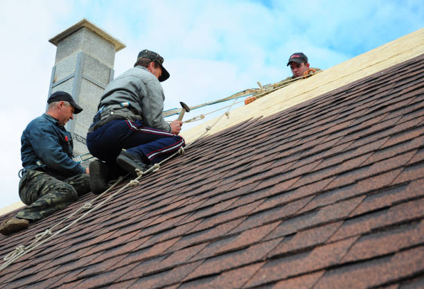 Best Roof Waterproofing Services  in Twin Lake, MI